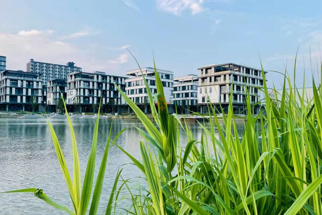 青浦 移動(dòng)智地 20平米 簡(jiǎn)裝
